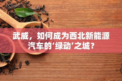 武威，如何成为西北新能源汽车的‘绿动’之城？
