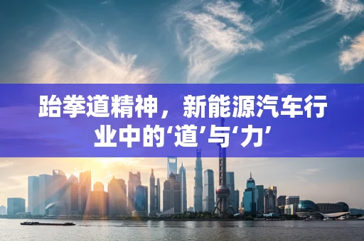 跆拳道精神，新能源汽车行业中的‘道’与‘力’