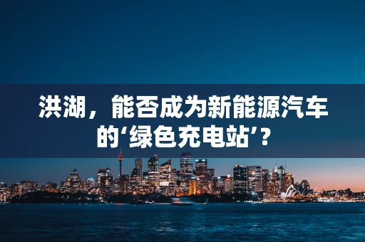 洪湖，能否成为新能源汽车的‘绿色充电站’？