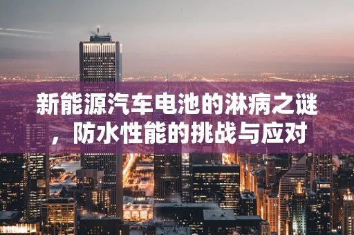 新能源汽车电池的淋病之谜，防水性能的挑战与应对