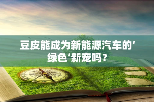 豆皮能成为新能源汽车的‘绿色’新宠吗？