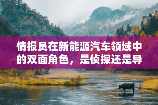 情报员在新能源汽车领域中的双面角色，是侦探还是导航员？