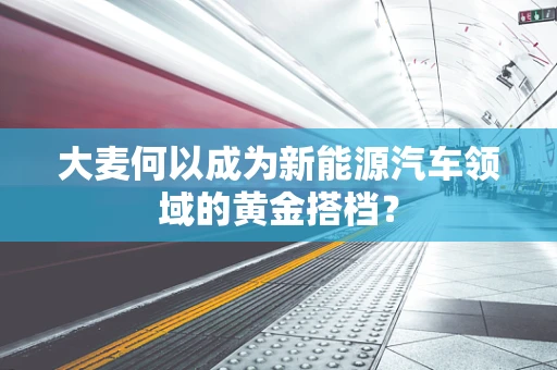 大麦何以成为新能源汽车领域的黄金搭档？