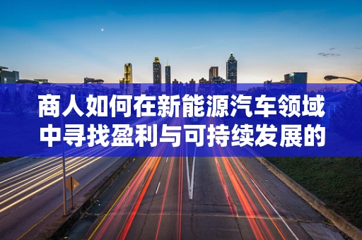 商人如何在新能源汽车领域中寻找盈利与可持续发展的平衡点？