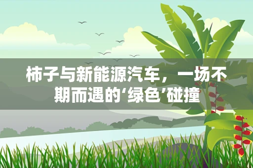 柿子与新能源汽车，一场不期而遇的‘绿色’碰撞
