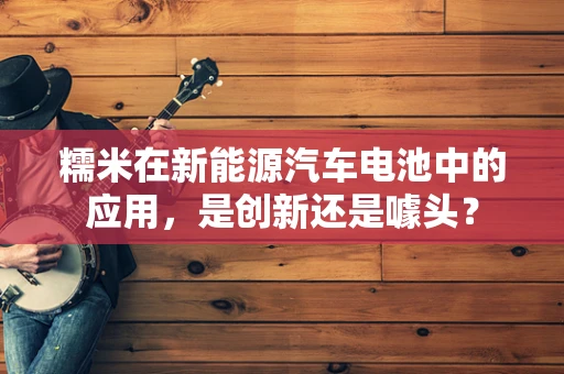 糯米在新能源汽车电池中的应用，是创新还是噱头？