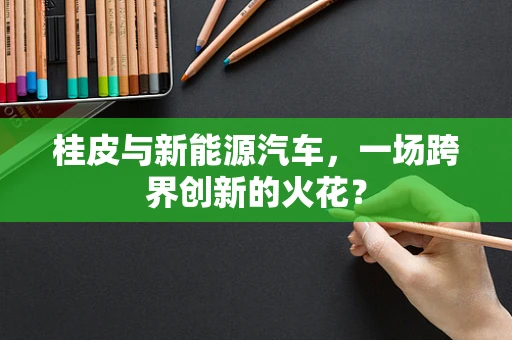 桂皮与新能源汽车，一场跨界创新的火花？