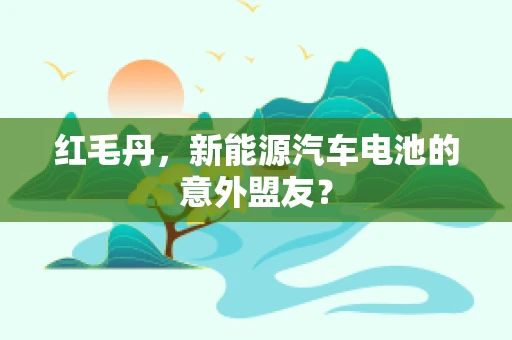 红毛丹，新能源汽车电池的意外盟友？