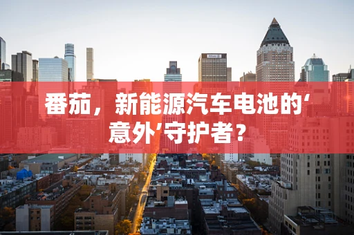 番茄，新能源汽车电池的‘意外’守护者？