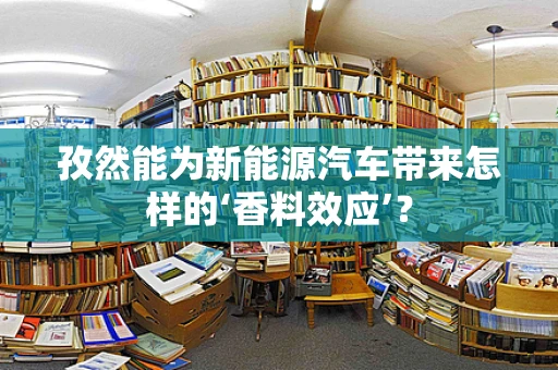 孜然能为新能源汽车带来怎样的‘香料效应’？
