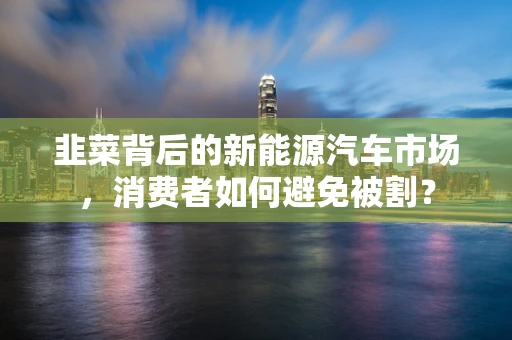韭菜背后的新能源汽车市场，消费者如何避免被割？