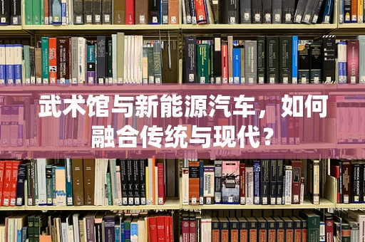 武术馆与新能源汽车，如何融合传统与现代？