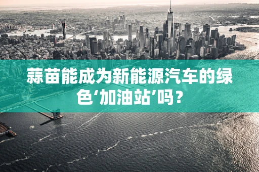 蒜苗能成为新能源汽车的绿色‘加油站’吗？