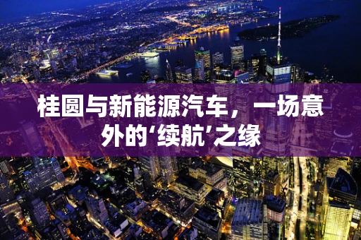 桂圆与新能源汽车，一场意外的‘续航’之缘
