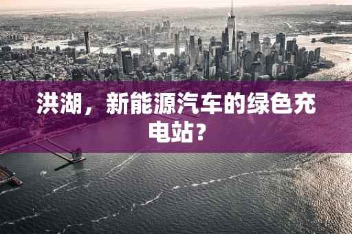 洪湖，新能源汽车的绿色充电站？
