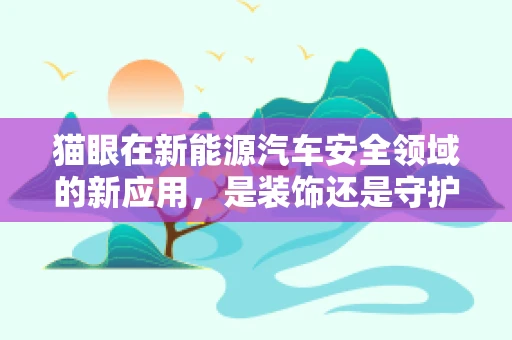 猫眼在新能源汽车安全领域的新应用，是装饰还是守护者？