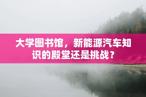 大学图书馆，新能源汽车知识的殿堂还是挑战？