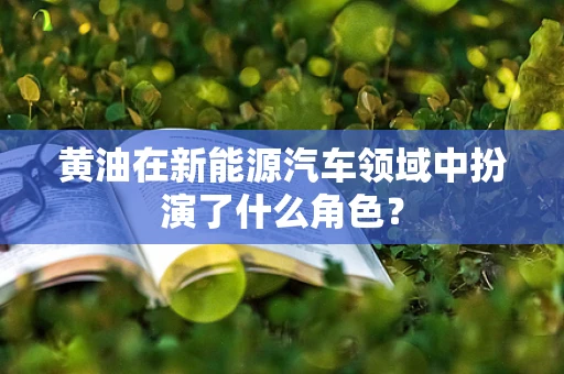 黄油在新能源汽车领域中扮演了什么角色？