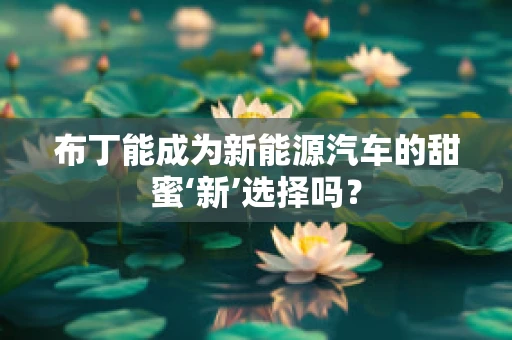 布丁能成为新能源汽车的甜蜜‘新’选择吗？