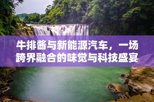牛排酱与新能源汽车，一场跨界融合的味觉与科技盛宴？