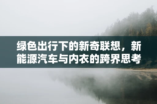 绿色出行下的新奇联想，新能源汽车与内衣的跨界思考
