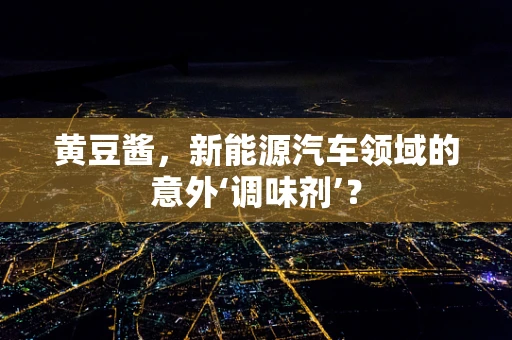 黄豆酱，新能源汽车领域的意外‘调味剂’？
