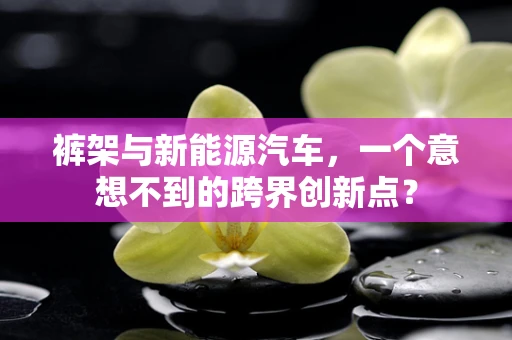 裤架与新能源汽车，一个意想不到的跨界创新点？