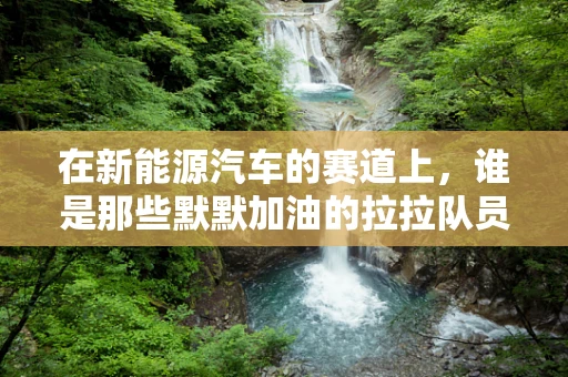 在新能源汽车的赛道上，谁是那些默默加油的拉拉队员？