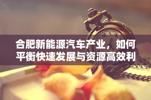合肥新能源汽车产业，如何平衡快速发展与资源高效利用？