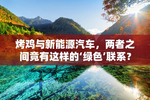 烤鸡与新能源汽车，两者之间竟有这样的‘绿色’联系？