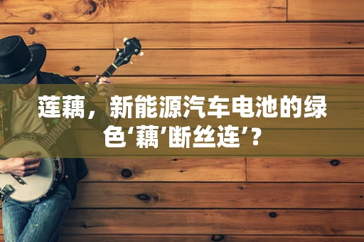莲藕，新能源汽车电池的绿色‘藕’断丝连’？