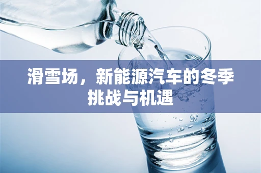 滑雪场，新能源汽车的冬季挑战与机遇