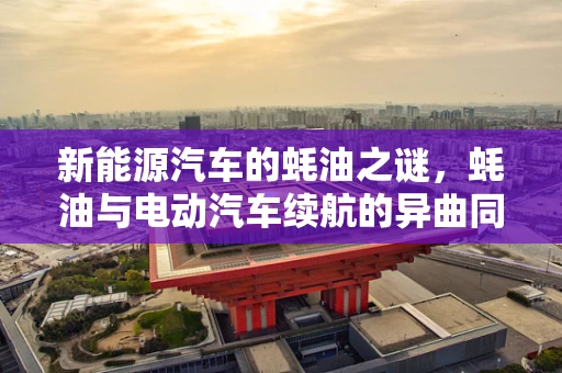 新能源汽车的蚝油之谜，蚝油与电动汽车续航的异曲同工？