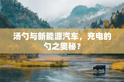 汤勺与新能源汽车，充电的勺之奥秘？