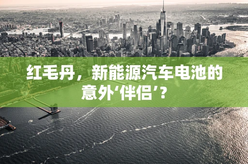 红毛丹，新能源汽车电池的意外‘伴侣’？