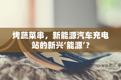 烤蔬菜串，新能源汽车充电站的新兴‘能源’？
