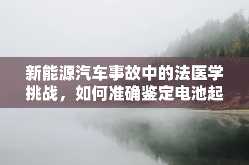 新能源汽车事故中的法医学挑战，如何准确鉴定电池起火原因？