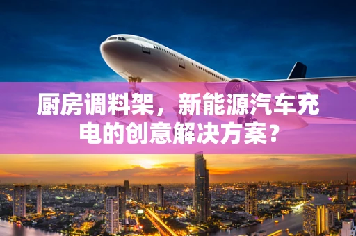 厨房调料架，新能源汽车充电的创意解决方案？