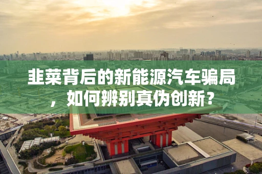 韭菜背后的新能源汽车骗局，如何辨别真伪创新？