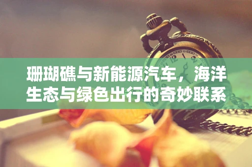珊瑚礁与新能源汽车，海洋生态与绿色出行的奇妙联系