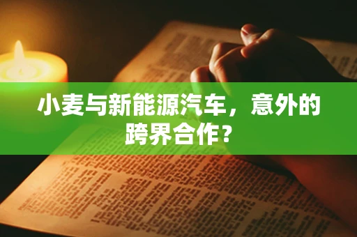 小麦与新能源汽车，意外的跨界合作？