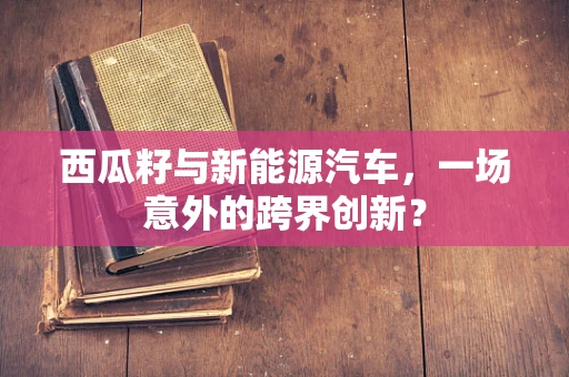 西瓜籽与新能源汽车，一场意外的跨界创新？