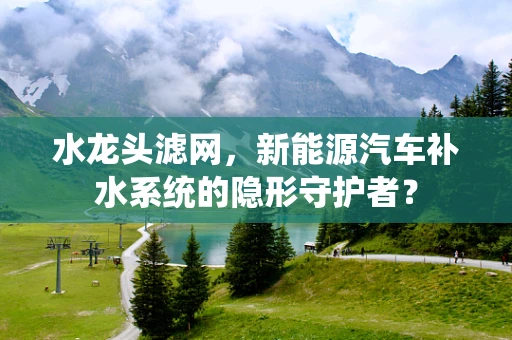 水龙头滤网，新能源汽车补水系统的隐形守护者？