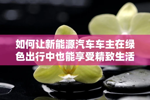 如何让新能源汽车车主在绿色出行中也能享受精致生活？——首饰收纳盒的创意应用