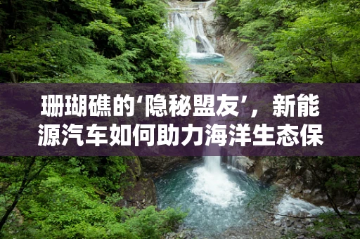 珊瑚礁的‘隐秘盟友’，新能源汽车如何助力海洋生态保护？