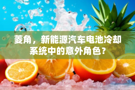 菱角，新能源汽车电池冷却系统中的意外角色？