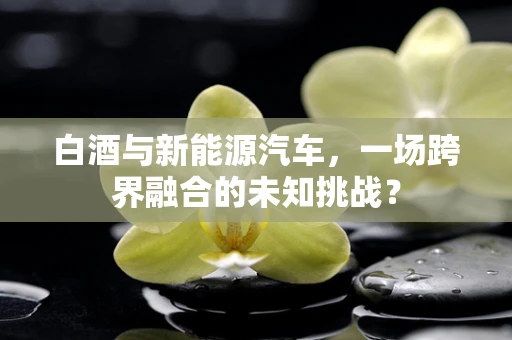 白酒与新能源汽车，一场跨界融合的未知挑战？