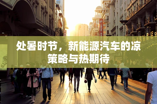 处暑时节，新能源汽车的凉策略与热期待