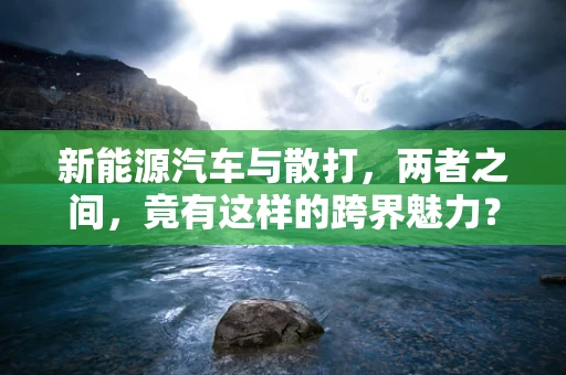 新能源汽车与散打，两者之间，竟有这样的跨界魅力？