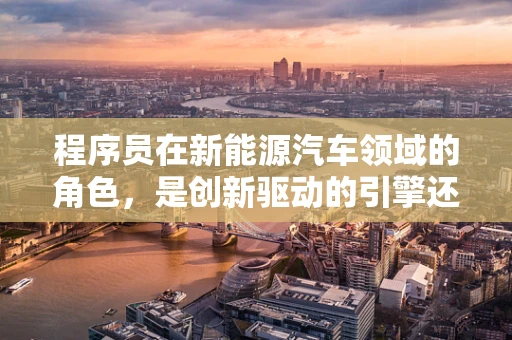 程序员在新能源汽车领域的角色，是创新驱动的引擎还是技术保障的基石？